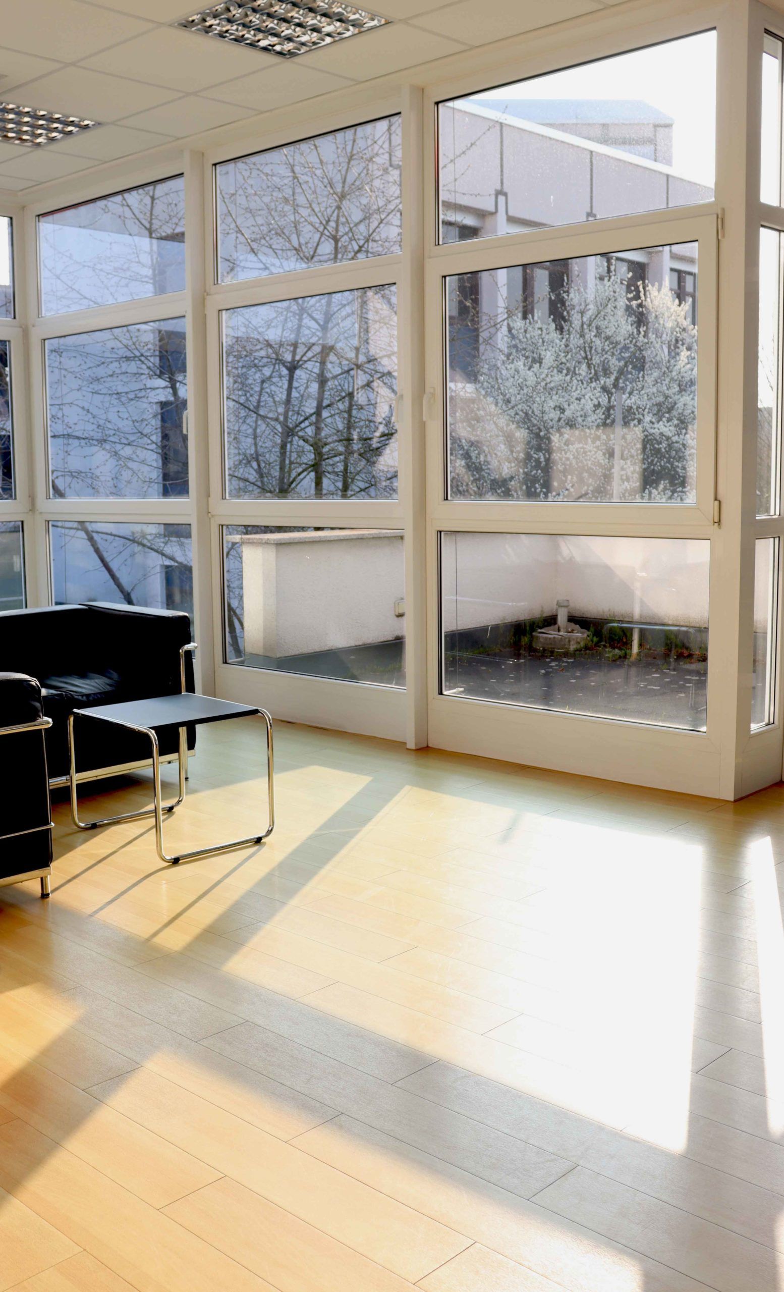 Reinigung Geschäftsräume